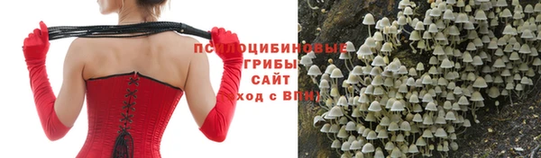 каннабис Арсеньев