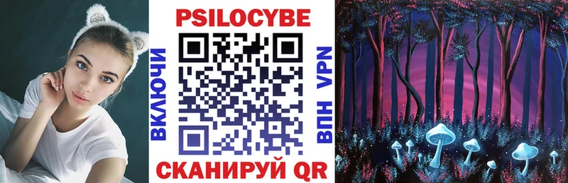 Галлюциногенные грибы Psilocybe  купить   гидра сайт  Пятигорск 