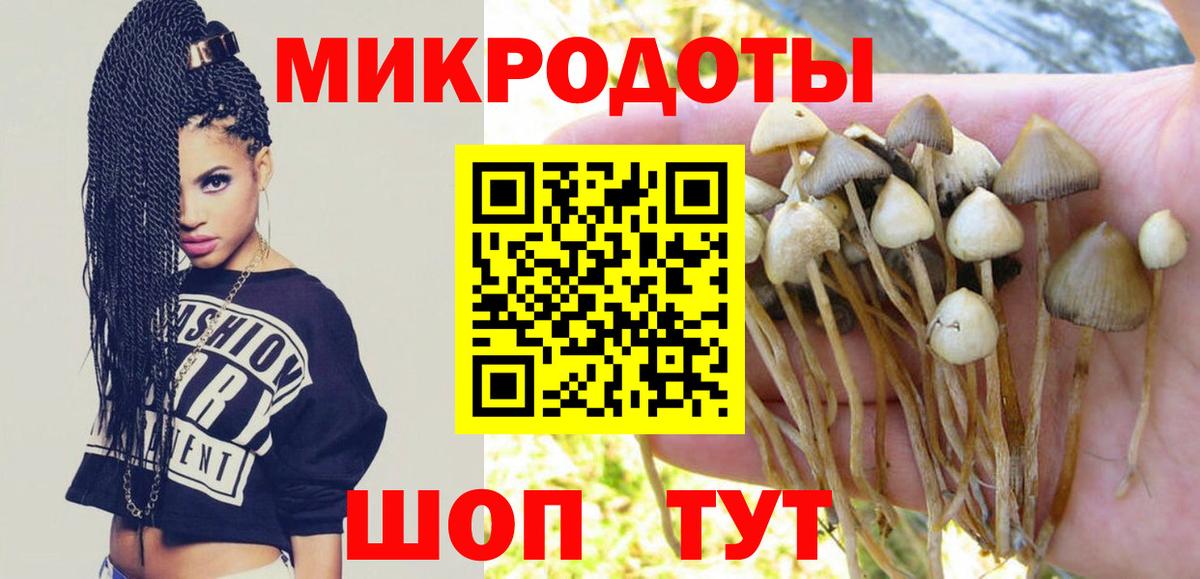Пятигорск  Галлюциногенные грибы Psilocybine cubensis  Вход с VPN  Псилоцибиновые грибы Psilocybine cubensis 