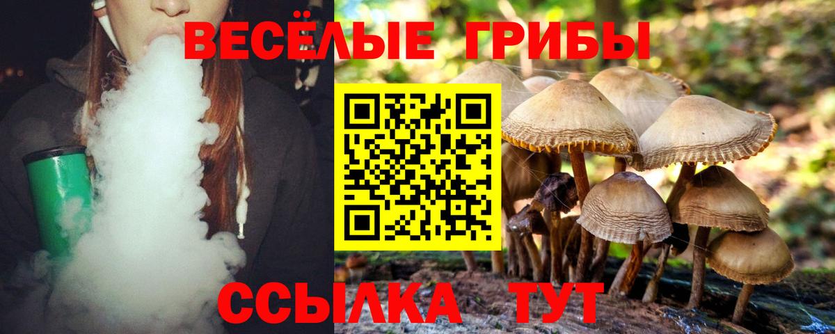 Псилоцибиновые грибы MAGIC MUSHROOMS Пятигорск